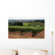 Vineyard Covered Hillside Wall Decal