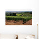 Vineyard Covered Hillside Wall Decal