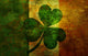 Ireland Flag with Shamrock Wall Decal