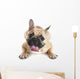 French Bulldog Wall Decal Design 3