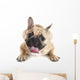 French Bulldog Wall Decal Design 3