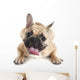 French Bulldog Wall Decal Design 3