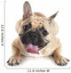 French Bulldog Wall Decal Design 3