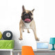 French Bulldog Wall Decal Design 2
