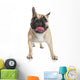 French Bulldog Wall Decal Design 2