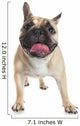 French Bulldog Wall Decal Design 2