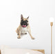 French Bulldog Wall Decal Design 1