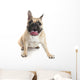 French Bulldog Wall Decal Design 1