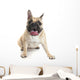 French Bulldog Wall Decal Design 1