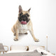French Bulldog Wall Decal Design 1