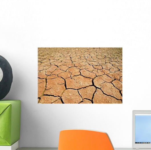 Parched Earth Wall Decal