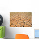 Parched Earth Wall Decal