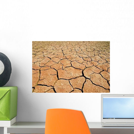 Parched Earth Wall Decal