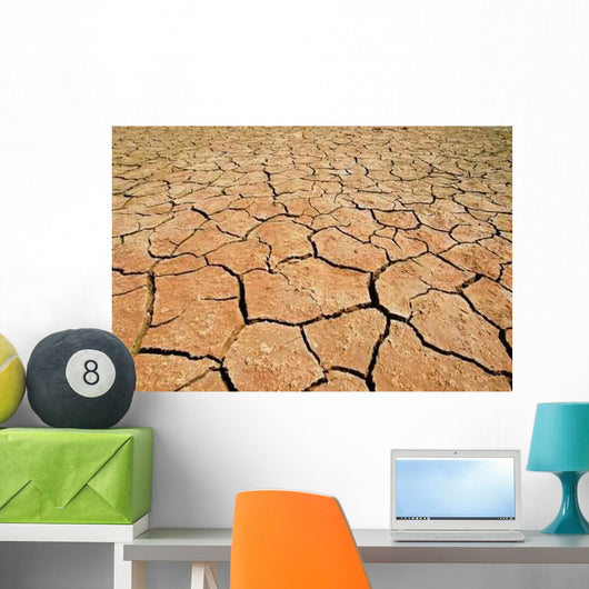 Parched Earth Wall Decal
