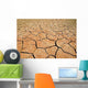 Parched Earth Wall Decal