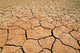 Parched Earth Wall Decal