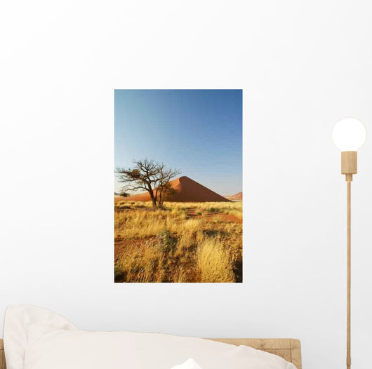 Vertrockneter Baumstumpf Vor Einer Wall Decal