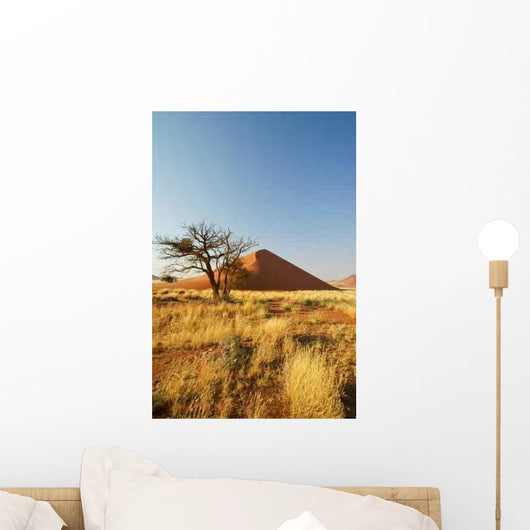 Vertrockneter Baumstumpf Vor Einer Wall Decal