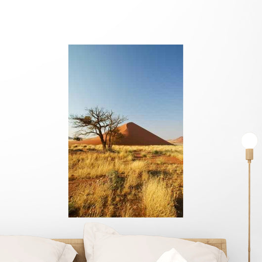 Vertrockneter Baumstumpf Vor Einer Wall Decal