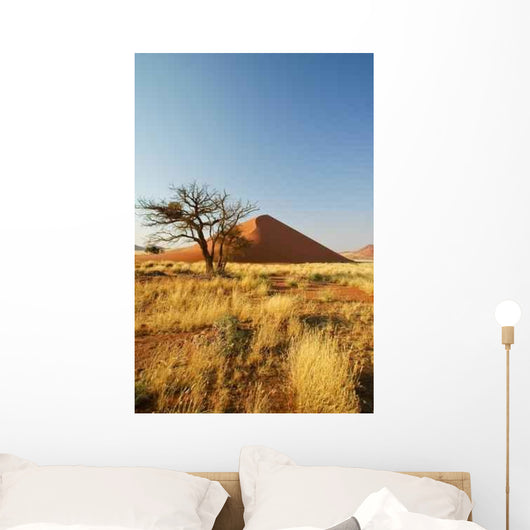 Vertrockneter Baumstumpf Vor Einer Wall Decal