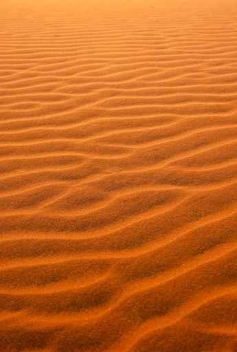 Desert Sand Wall Decal