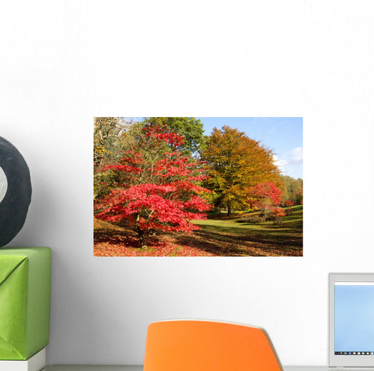 Colors Fall Forest Wall Decal