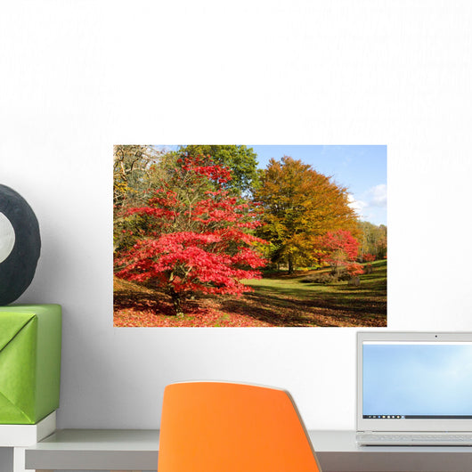 Colors Fall Forest Wall Decal