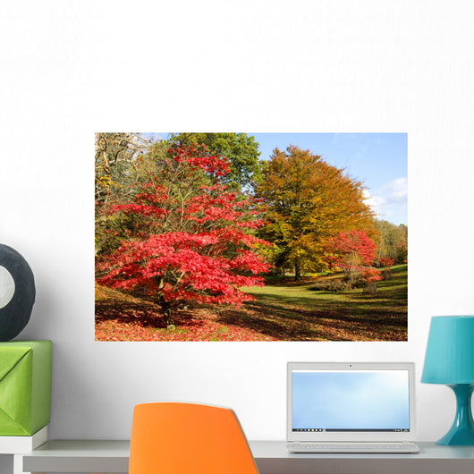 Colors Fall Forest Wall Decal