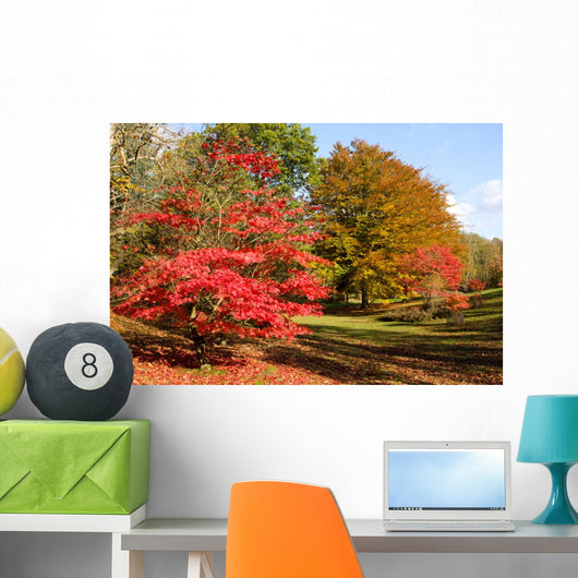 Colors Fall Forest Wall Decal
