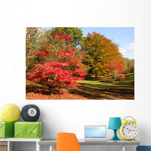 Colors Fall Forest Wall Decal