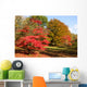 Colors Fall Forest Wall Decal