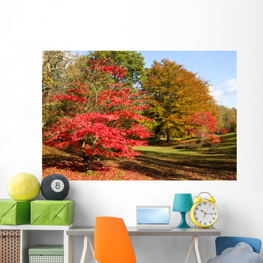 Colors Fall Forest Wall Decal
