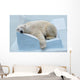 Sleepy Polar Bear Wall Decal