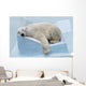 Sleepy Polar Bear Wall Decal