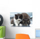 Two Kitten Wall Decal