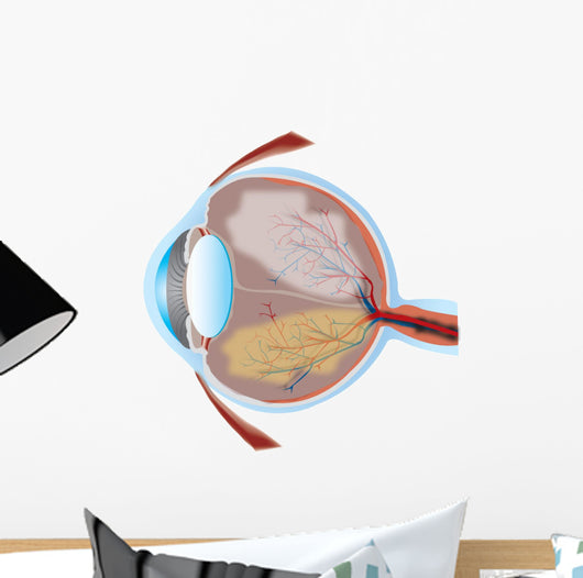 Eye Illustration with Cross Wall Decal