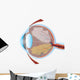 Eye Illustration with Cross Wall Decal