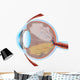 Eye Illustration with Cross Wall Decal