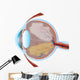 Eye Illustration with Cross Wall Decal