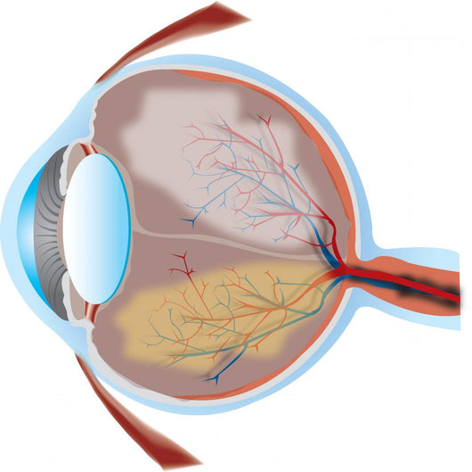 Eye Illustration with Cross Wall Decal