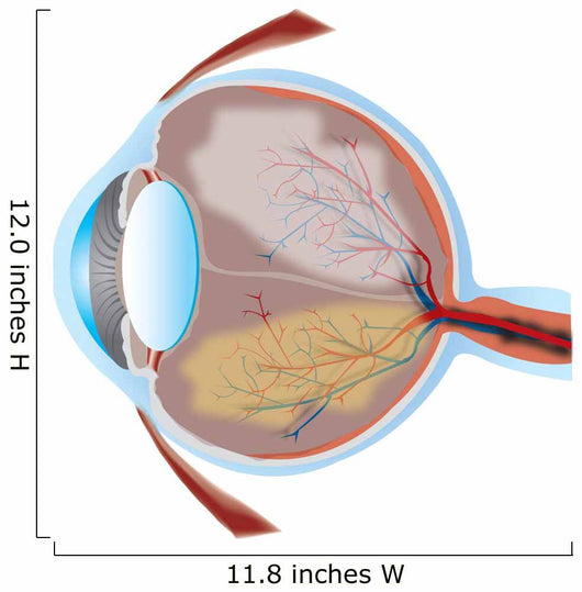 Eye Illustration with Cross Wall Decal