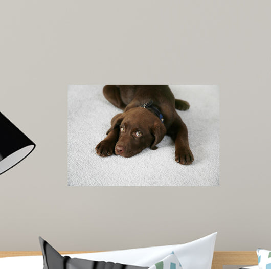 Lazy Dog Wall Decal