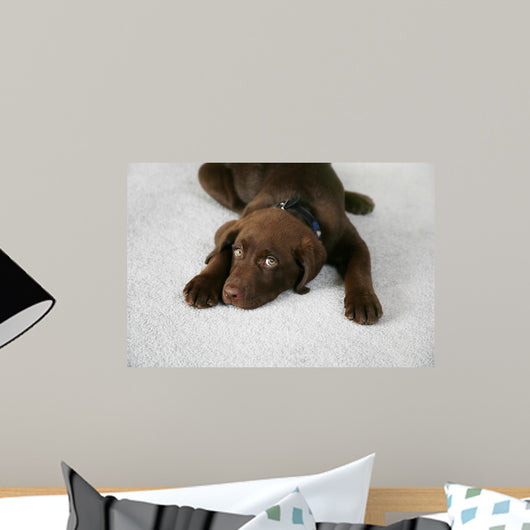 Lazy Dog Wall Decal