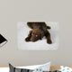Lazy Dog Wall Decal
