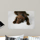 Lazy Dog Wall Decal