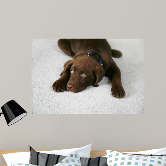 Lazy Dog Wall Decal