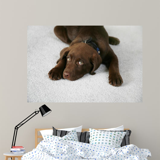 Lazy Dog Wall Decal