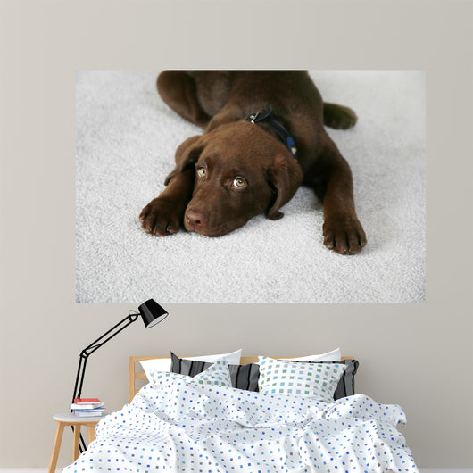 Lazy Dog Wall Decal