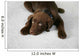 Lazy Dog Wall Decal