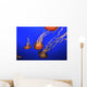 Medusa Jellyfish Wall Decal